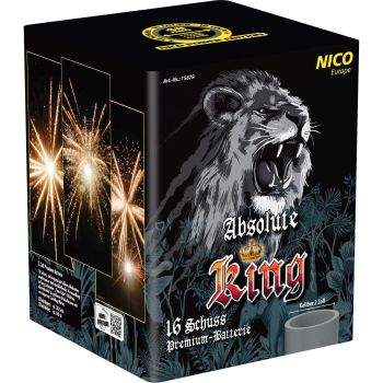 Nico Feuerwerk Silvester F3 Batterie Feuerwerk "Absolute King" 16 Schuss