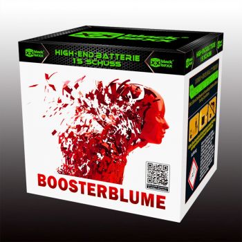 Blackboxx Fireworks Silvester Batterie Feuerwerk "Boosterblume"