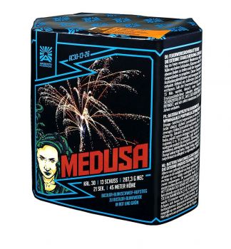 Argento Feuerwerk Silvester Batterie Feuerwerk "Medusa" 13 Schuss Batch 2024