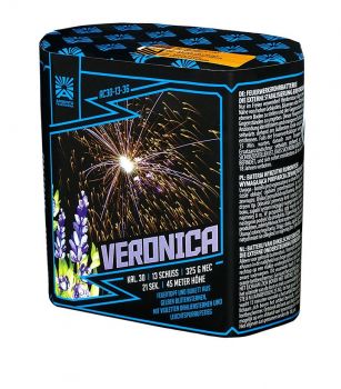 Argento Feuerwerk Silvester Batterie Feuerwerk "Veronica"13 Schuss