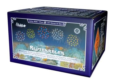 Profi-Feuerwerk,Batteriefeuerwerk, Sivesterfeuerwerk