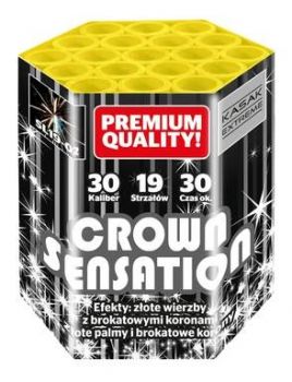 GAOO - Kasak Silvester Feuerwerk Profi Batterie "Crown Sensation" 19 Schuss