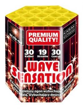 GAOO - Kasak Silvester Feuerwerk Profi Batterie "Wave Sensation" 19 Schuss