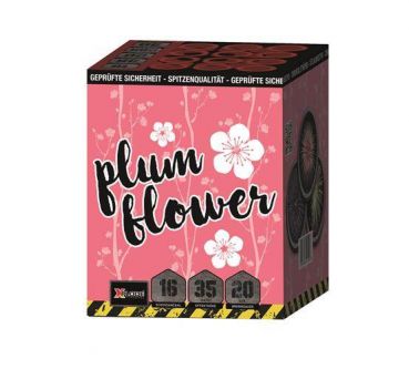 Silvester Batterie Feuerwerk Xpolde Fireworks "Plum Flower" 16 Schuss
