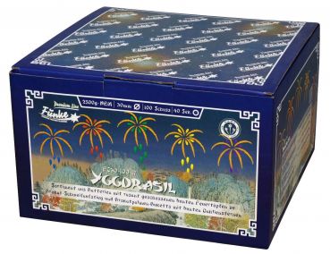 Funke Fireworks Silvester Show-Box "Yggdrasil" 100 Schuss