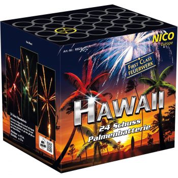 Nico Feuerwerk Silvester Batterie Feuerwerk "Hawai" 24 Schuss