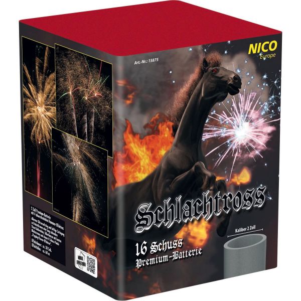 Profi-Feuerwerk,Batteriefeuerwerk, Sivesterfeuerwerk,F3