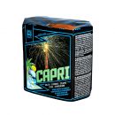 Argento Feuerwerk Silvester Batterie Feuerwerk "Capri" 13 Schuss Batch 2024