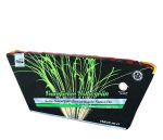 Singleshots,Bomberrohre,Silvesterfeuerwerk,Single-Rows