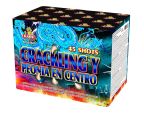 Profi-Feuerwerk,Batteriefeuerwerk, Sivesterfeuerwerk