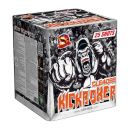 Profi-Feuerwerk,Batteriefeuerwerk, Sivesterfeuerwerk,F3