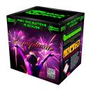 Profi-Feuerwerk,Batteriefeuerwerk, Sivesterfeuerwerk,Funke,Blackboxx